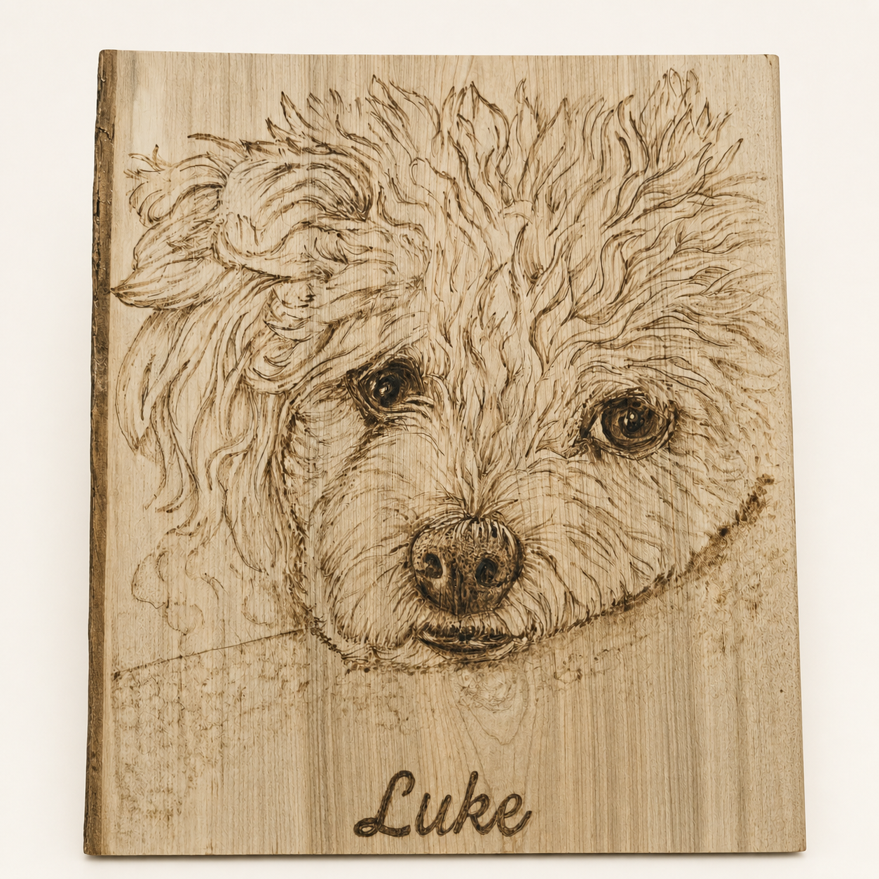Custom pyrography portrait of Luke